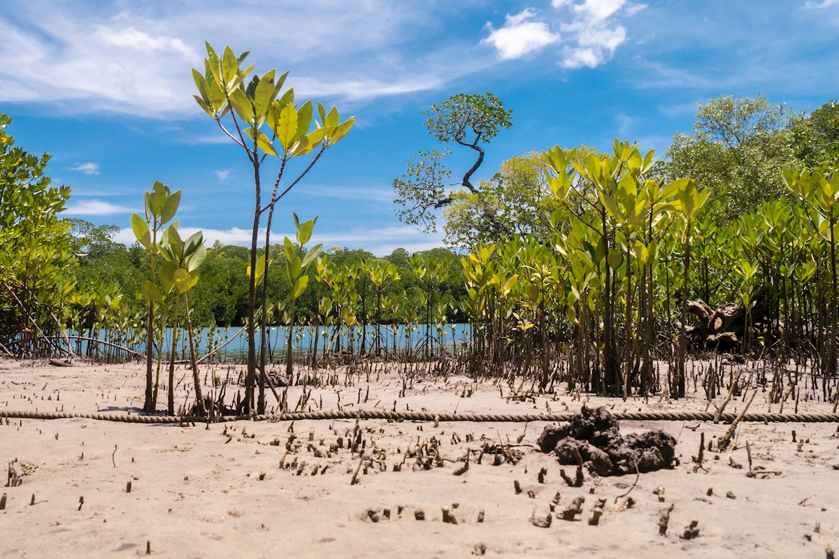 Discover the Great Barrier Reef: What You Need to Know