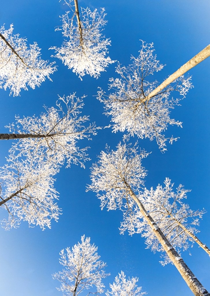 Der blaue Winterhimmel Poster von Marcus Måhlberg | Printler