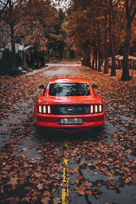 1412252 ford mustang, cars, hd, 4k, behance - Rare Gallery HD Wallpapers