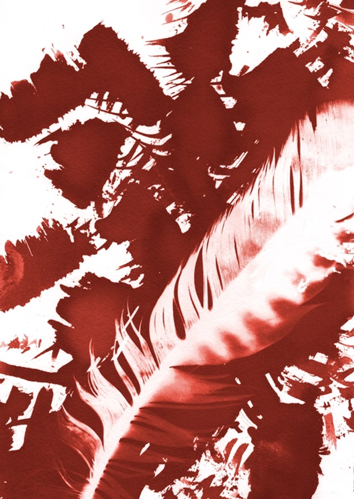Piume rosse poster & stampe di Lies Praet - Printler