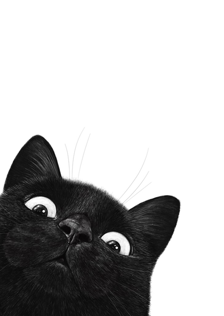 Gatto nero divertente poster & stampe di Valeriya Korenkova - Printler