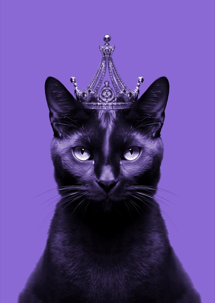 | Poster Richter Maximilian von Printler Schwarze Queen Katze. King