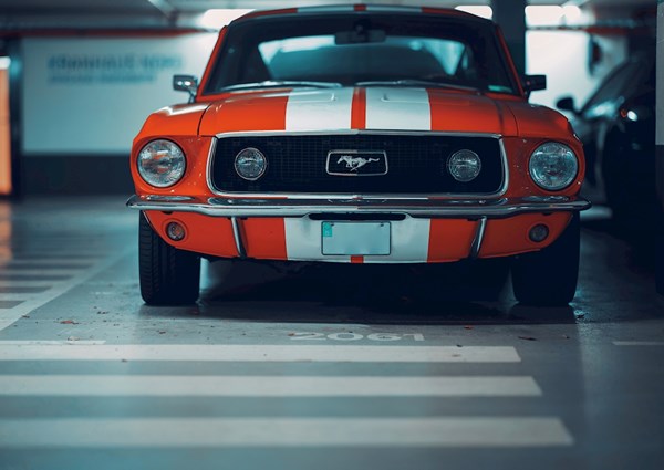  Ford mustang carteles