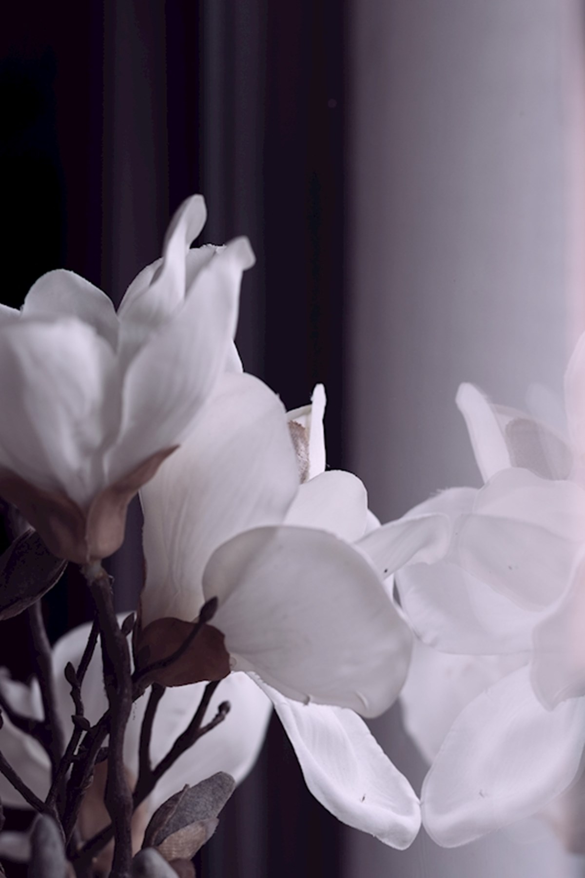 Tag væk Odysseus interpersonel Hvide blomster plakat af Annika Bäcker - Printler